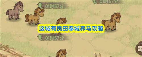 这城有良田奉城怎么养马 这城有良田奉城养马指南