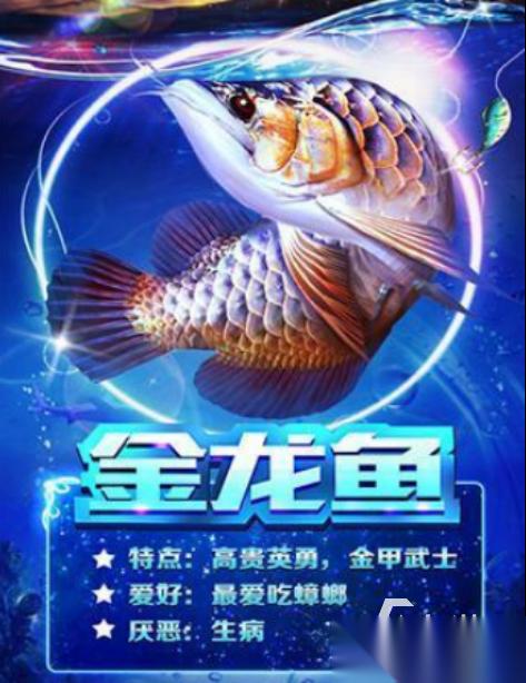 关于鱼的小游戏下载哪些 2026好玩的鱼手游下载推荐
