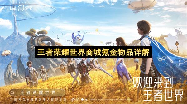 王者荣耀世界商城氪金物品详解