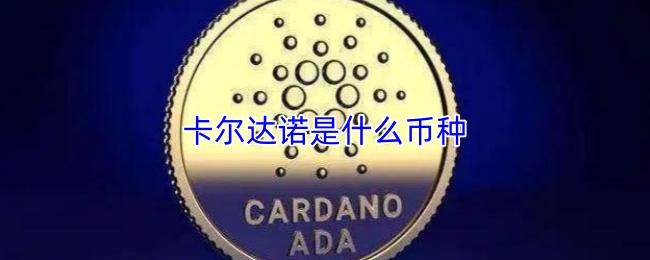 卡尔达诺是什么币种