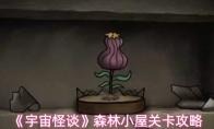 宇宙怪谈 森林小屋关卡攻略