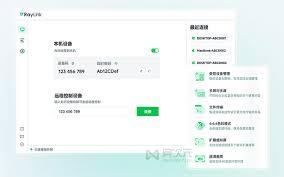 RayLink远程控制软件如何使用