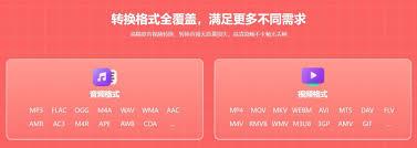 野葱视频转换器怎么转换视频格式
