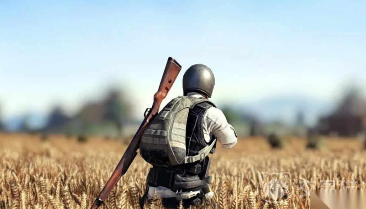 pubg皮肤交易平台哪个好 pubg皮肤交易平台链接分享