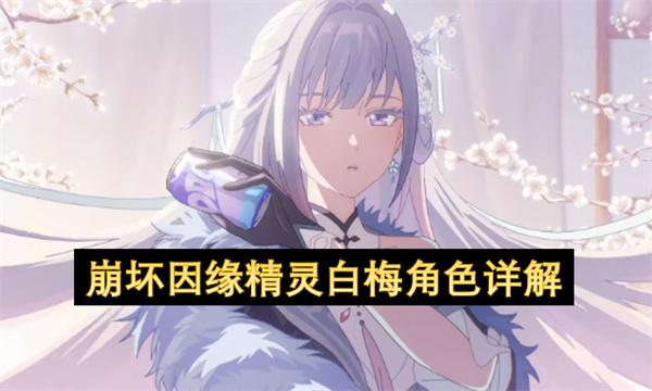 崩坏因缘精灵白梅角色介绍