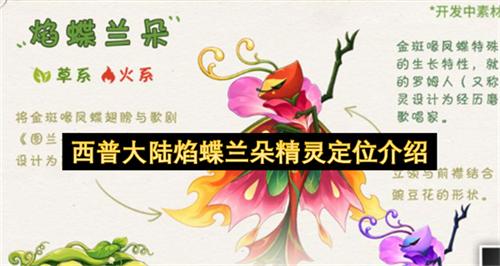 西普大陆焰蝶兰朵精灵定位介绍