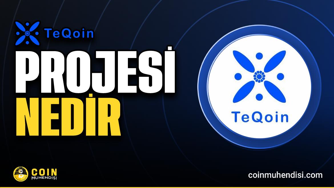 什么是TeQoin (TEQOIN)